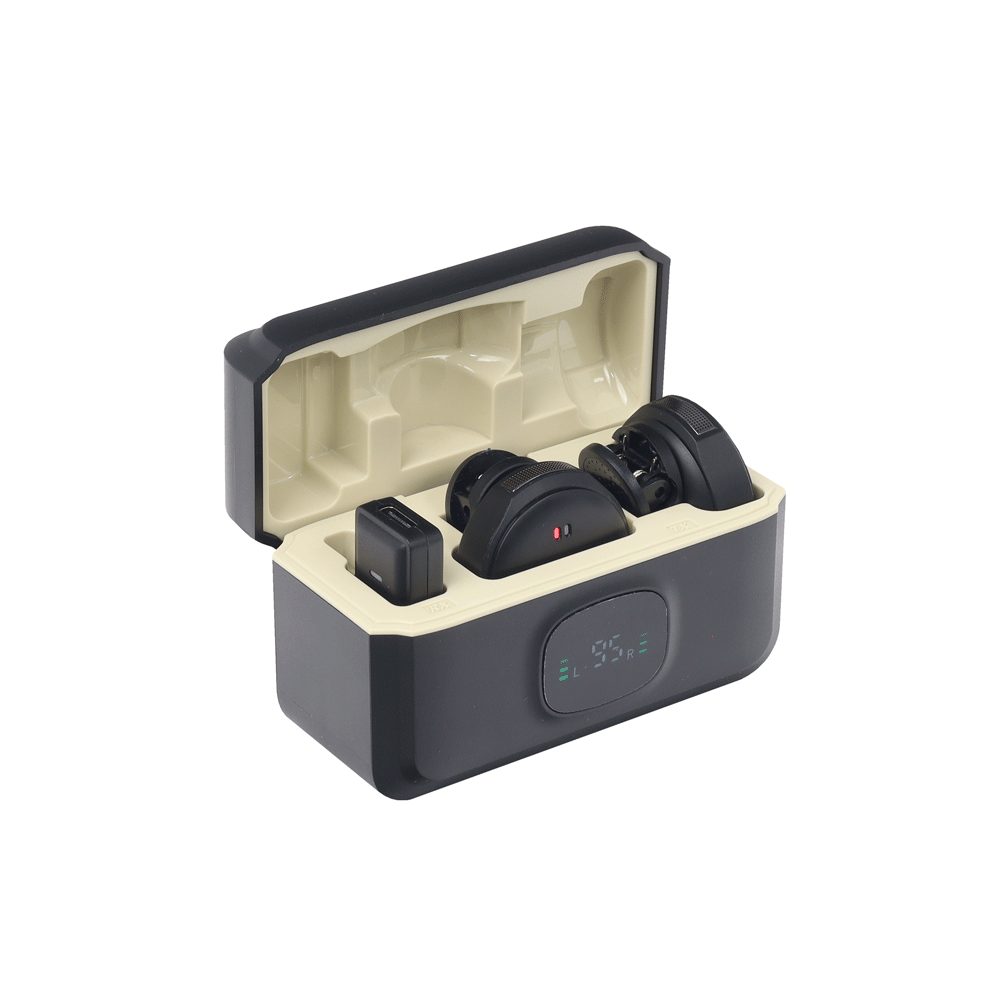 MICROFONOS TIPO C 2.4G X2 - F31-TC-2